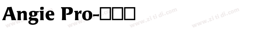 Angie Pro字体转换